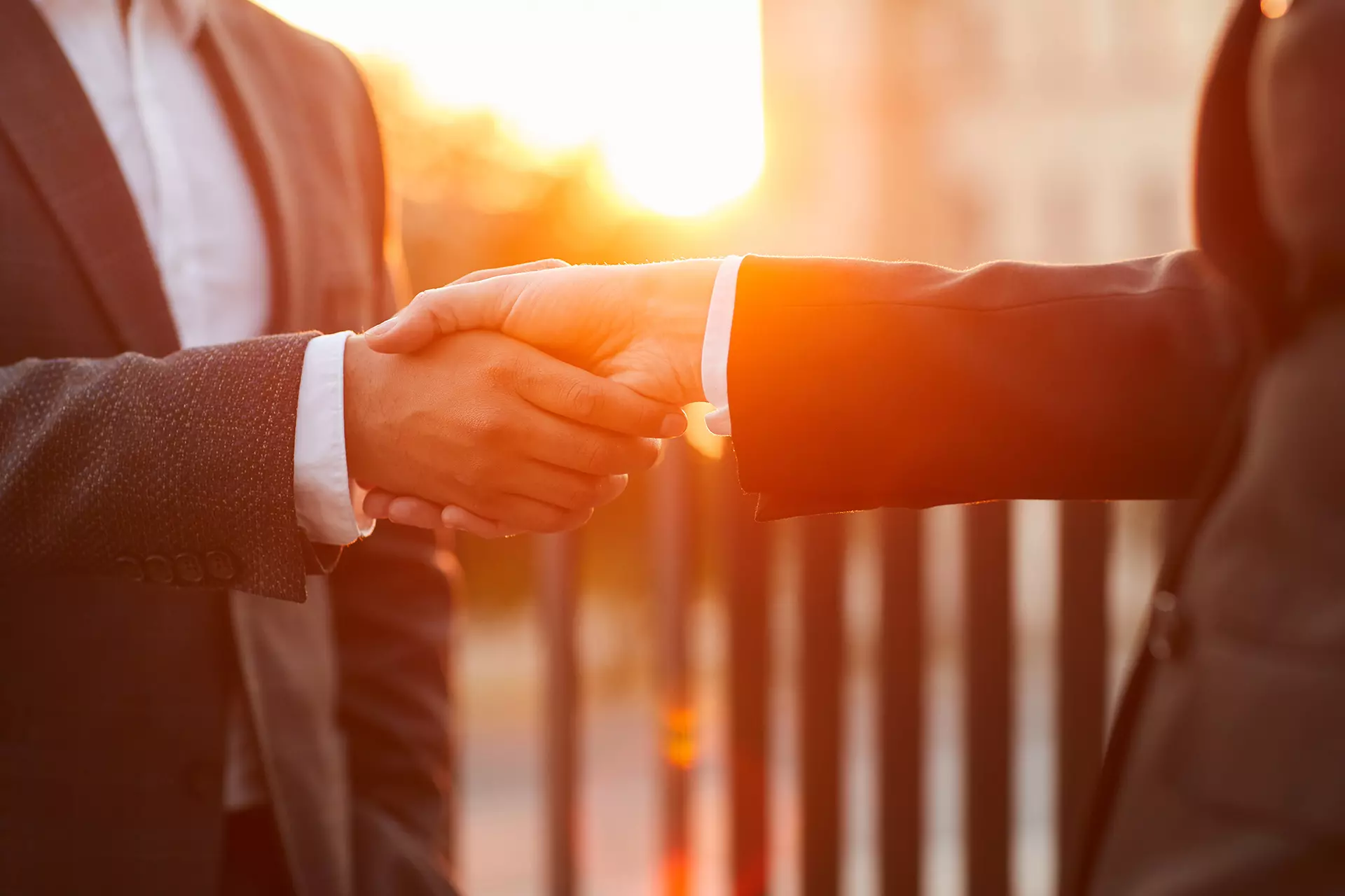 pactus legal servicios 